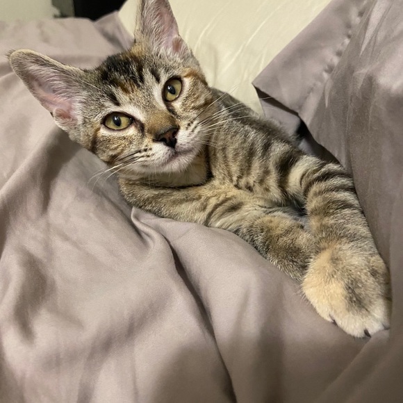 Meet your Posher, Jen - Picture 1 of 1